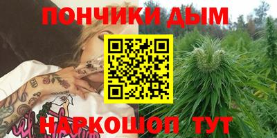 сатива Коммунар