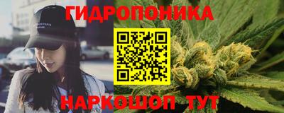 сатива Коммунар