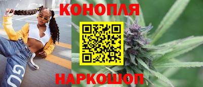 сатива Коммунар