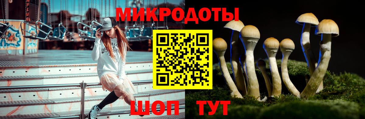 Казань  Галлюциногенные грибы MAGIC MUSHROOMS  Вход с VPN 